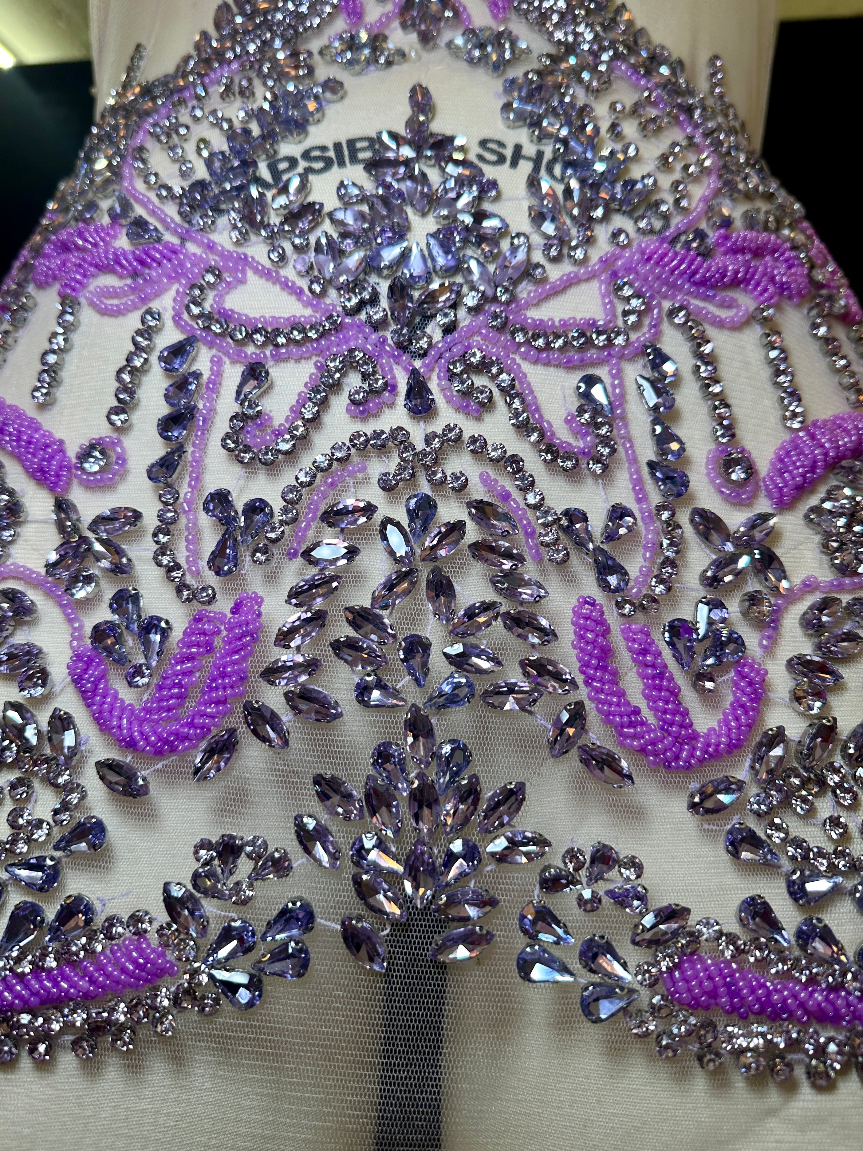 Nicole Rhinestone Bodice Applique, sparkle crystal bodice, silver rhinestone applique, rhinestone bodice for woman, rhinestone bodice ,rhinestone beads, rhinestone applique, rhinestone applications, rhinestone, luxurious dress, flawless dress fabric, embellishment for dress, diy dress, decoration for dress, crystal applique for dresses, crafts for dress, bridal dress rhinestone, beaded mesh sequin bodice, beaded mesh fabric for dress, beaded bodice for dress, applique for gown, applique for dress