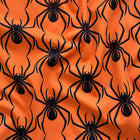 Black on Orange Spider