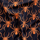 Orange on Black Spider