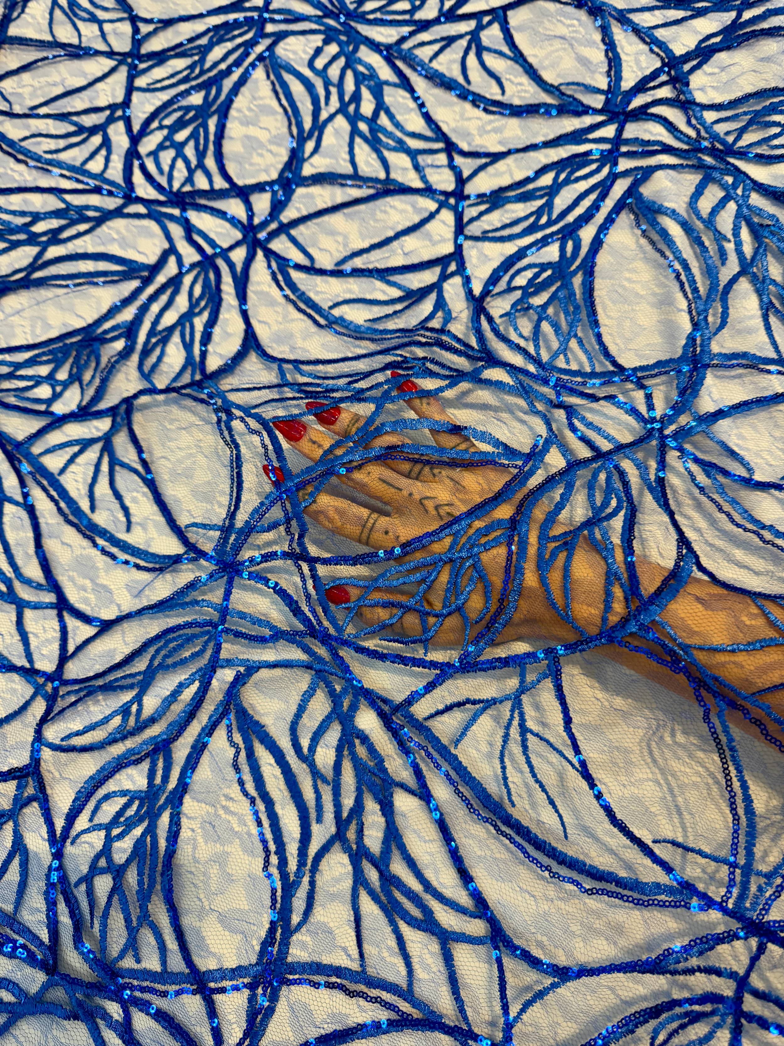 Infinity Web Sequin Embroidered Mesh