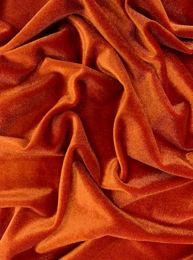Burnt Orange Stretch Velvet – KikiTextiles